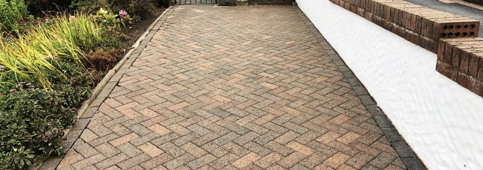 Algae moss removal patio driveway Conwy