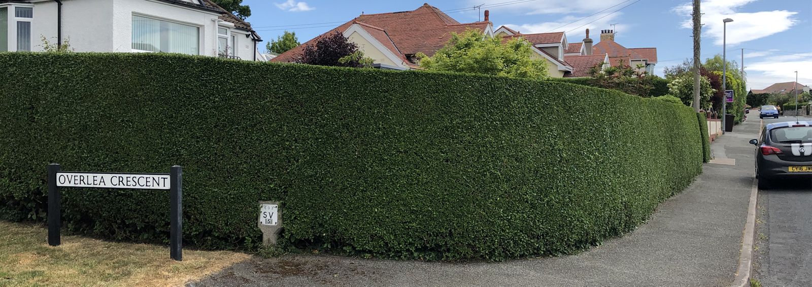 hedge maintenance conwy