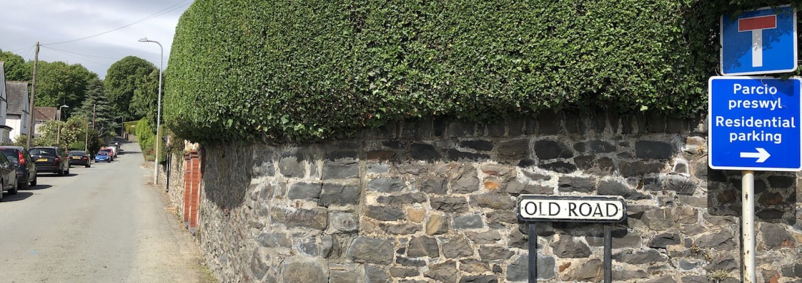 hedge trimming gardener conwy