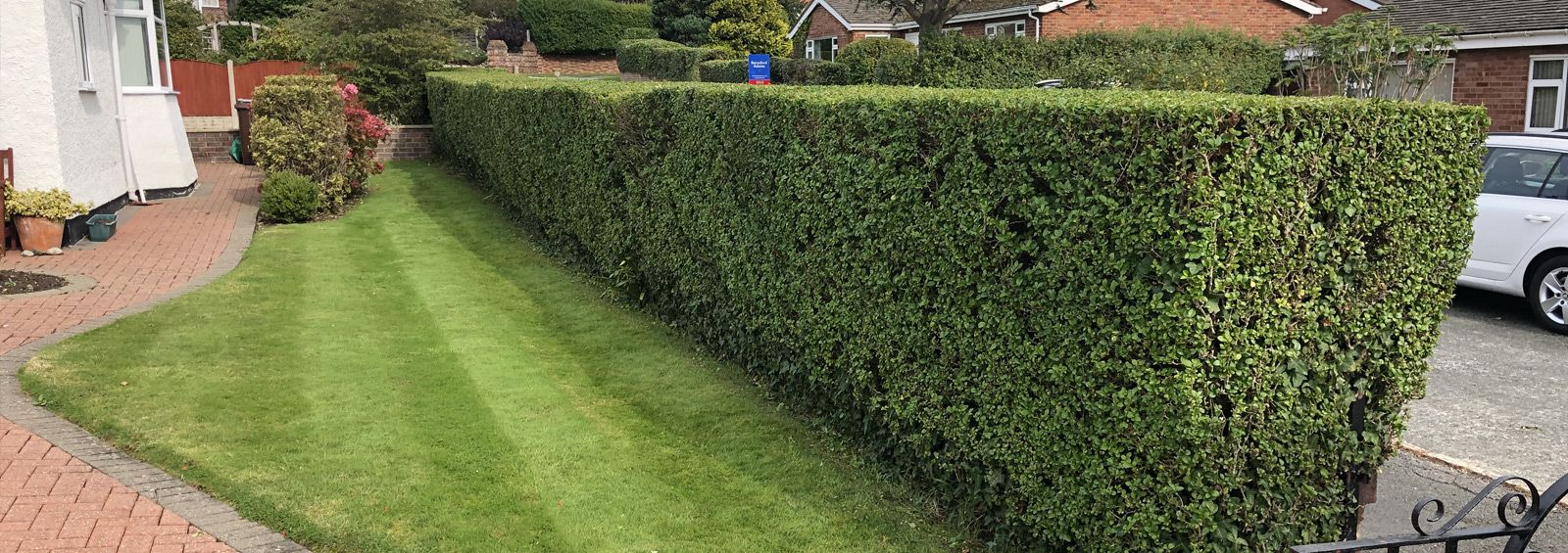 hedge maintenance conwy north wales