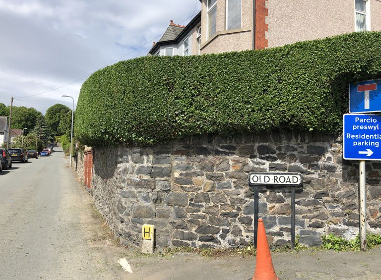 professional hedge cutting conwy