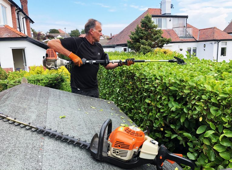 hedge maintenance cutting service conwy north wales